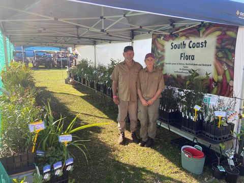 At the South Coast Flora stall